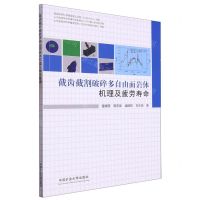 截齿截割破碎多自由面岩体机理及疲劳寿命