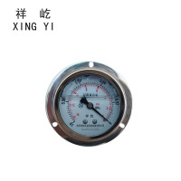 祥屹 耐震压力表轴向带边 YTN60ZT -0.1-0Mpa 块