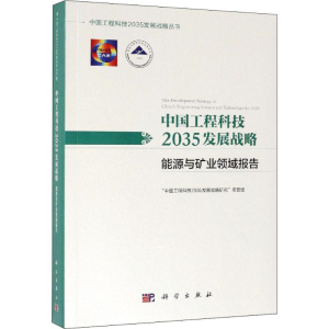 [M]中国工程科技2035发展战略 能源与矿业领域报告-9787030612502