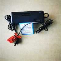 智铁电池充电器D2L482002个