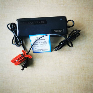 智铁电池充电器D2L482002个