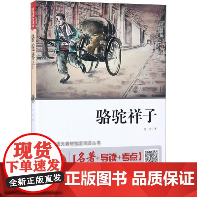 骆驼祥子 无障碍阅读版 名师讲解版 北京教育出版社 老舍 著 刘敬余 编