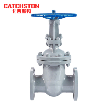 卡西斯顿 铸钢法兰闸阀 DN80 个