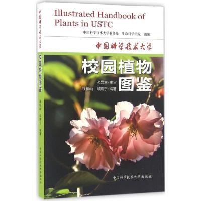 正版新书]中国科学技术大学校园植物图鉴钱栎屾9787312039294