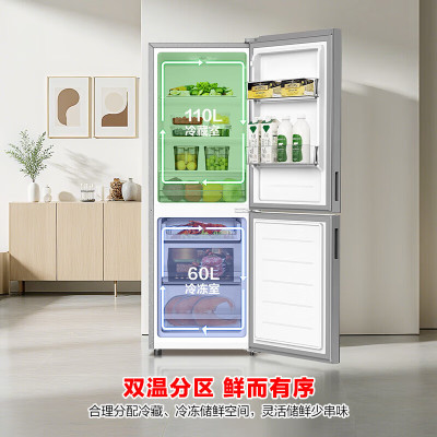 容声170升冰箱迷你双门二门两门双开门家用电冰箱宿舍小户型租房小型冰箱 以旧换新 BCD-170E10BNLAD凯撒银