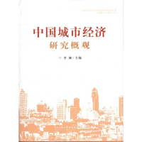 音像中国城市经济研究概观李澜