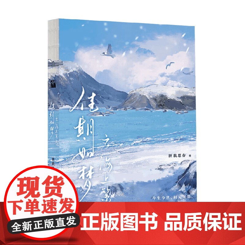 佳期如梦之海上繁花 匪我思存 著 小说