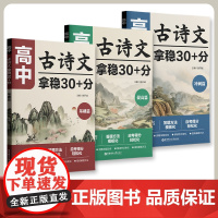 高中古诗文拿稳30+分 基础篇+提高篇+冲刺篇 高一高二高三高考高中语文故事文言文阅读一本通高考真题模拟题型考点解析知识