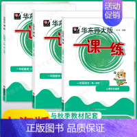1年级上[语数英-普通版] [3本] 小学通用 [正版]上海华东师大版一课一练一年级二年级三四五六七八九年级下册上册语文