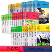 沈石溪品藏书系全套 [正版]沈石溪动物小说品藏书系列 全集36册 狼王梦斑羚飞渡第七条猎狗后一头战象雪豹悲歌混血豺王珍藏