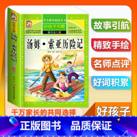 (单本)汤姆索亚历险记 [正版]全套68本小学生快乐读书吧一二三四五六年级儿童文学四大名著童年安徒生格林童话朝花夕拾简爱