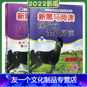 [新黑马现代文+古诗文]九年级 九年级/初中三年级 [友一个正版]2022初中数学核心考点专题九年级数学上册 初三9年级