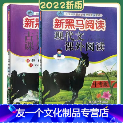 [新黑马现代文+古诗文]九年级 九年级/初中三年级 [友一个正版]2022初中数学核心考点专题九年级数学上册 初三9年级