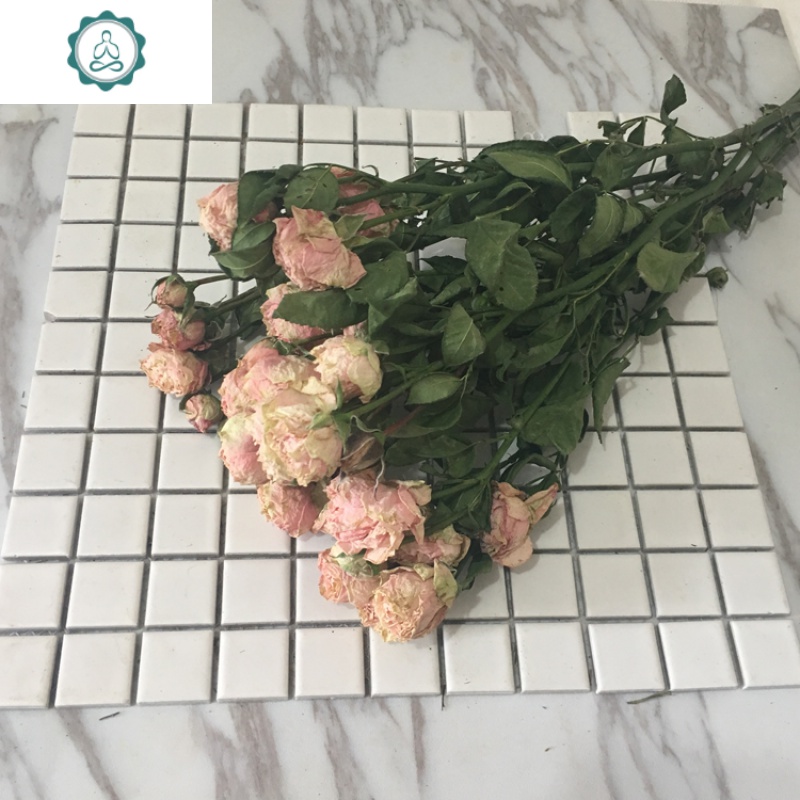 蔷薇干花束客厅酒店花艺家居摆设装饰干花 干花玫瑰 封后 香槟玫瑰(10