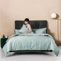 婵思 60支长绒棉经典 单被套