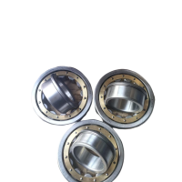 SKSM圆柱滚子轴承NJ2226