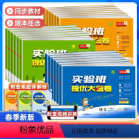 语文人教版 一年级下 [正版]2024春实验班提优大考卷一二三四五六年级上册下册语文数学英语人教版苏教北师大版试卷测试卷