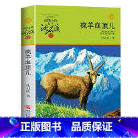 疯羊血顶儿 [正版]沈石溪动物小说品藏书系列全集36册 斑羚飞渡第七条猎狗后一头战象雪豹悲歌珍藏版全套画本生肖