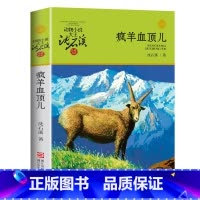 疯羊血顶儿 [正版]沈石溪动物小说品藏书系列全集36册 斑羚飞渡第七条猎狗后一头战象雪豹悲歌珍藏版全套画本生肖