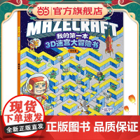 我的本3D迷宫大冒险书:高级篇