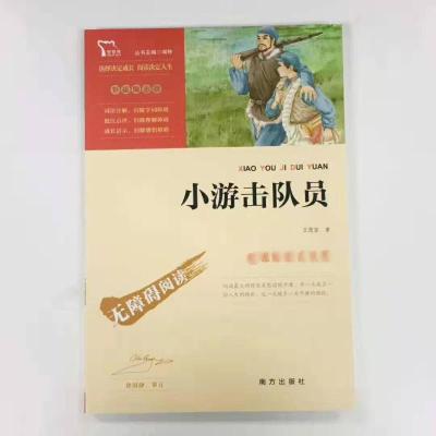 小游记队员(彩插励志版无障碍阅读)/中小学生课外阅读