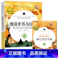细菌世界历险记 [正版]中小学课外阅读1-2-3三4四5五6六年级上下册必读快乐读书吧书籍四大名著稻草人安徒生格林童话爱