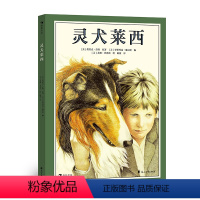 灵犬莱西 [正版]赠导读手册灵犬莱西 浪花朵朵童书 7岁以上小学初中经典名著阅读书目 世界经典动物小说改编彩图绘本版一只