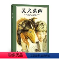 灵犬莱西 [正版]赠导读手册灵犬莱西 浪花朵朵童书 7岁以上小学初中经典名著阅读书目 世界经典动物小说改编彩图绘本版一只