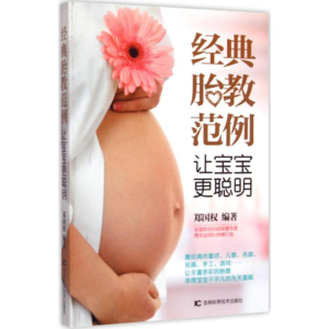 醉染图书经典胎教范例9787538487114