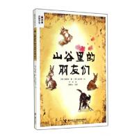 正版新书]山谷里的朋友们(黄善美动物文学)(韩)黄善美|译者:千日