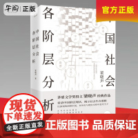 正版 [印特签版]中国社会各阶层分析 茅盾文学奖梁晓声叩问社会各阶层利害关系 聚焦现实问题背后的规则 社科书籍