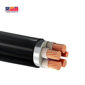 常顺鑫 低压铜芯电缆ZC-YJV22 5×25 米