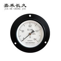 嘉禾长久 轴向带边压力表检测型 Y100ZT 块