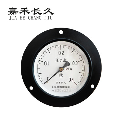 嘉禾长久 轴向带边压力表检测型 Y100ZT 块