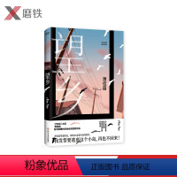 [正版]望乡 故乡是永远回不去的远方,《告白》作者湊佳苗日本推理作家协会赏获奖作品,令人如鲠在喉的六个故事。现代短篇小