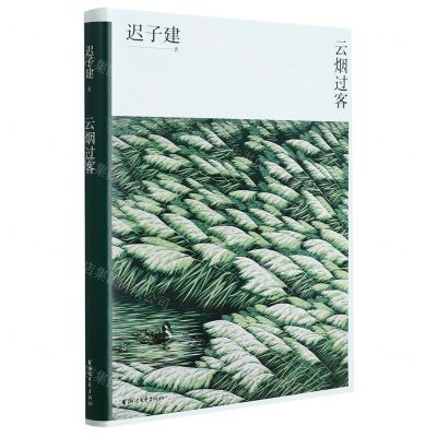 [N]云烟过客-9787533966690