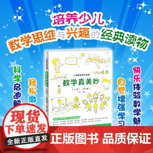 数学真美妙(小学5~6年级)小学五六年级培养儿童数学思维兴趣激发学习潜能能力提升 数学思维训练培养趣味阅读课外书
