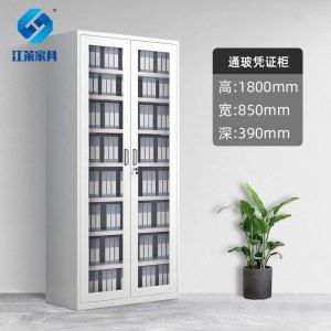 江莱通玻凭证柜850*390*1800mm /JL-W01/台