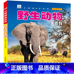 野生动物大百科 [正版]战车大百科注音版小眼睛看世界兵器武器枪械坦克装甲车导弹小学生一二三年级课外阅读书籍军事百科全书科