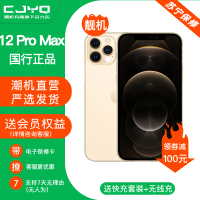 [99新]Apple iPhone 12ProMax 金色 256GB 二手苹果12PM 全网通5G 国行正品 手机