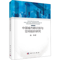 音像中国城市群识别与空间组织研究陈伟
