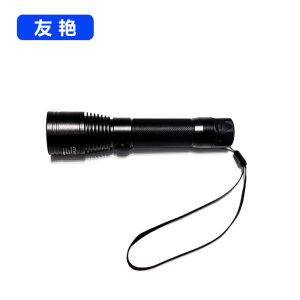 友艳LED灯YYDD-009/个