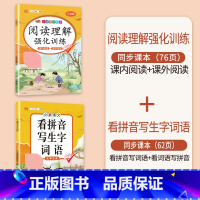 [拼音强化]阅读理解+看拼音写生字词语 五年级上 [正版]阅读理解专项训练书小学五年级下册上册语文英语每日一练人教版5下