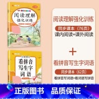 [拼音强化]阅读理解+看拼音写生字词语 五年级上 [正版]阅读理解专项训练书小学五年级下册上册语文英语每日一练人教版5下