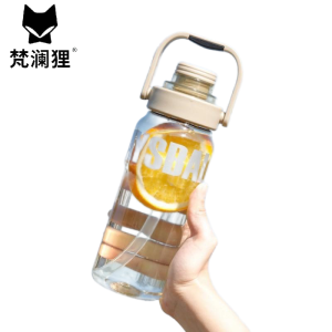 梵澜狸运动杯子H5 个