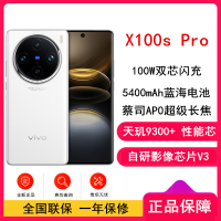 vivo X100s Pro 白月光12GB+256GB 蓝晶×天玑9300+ 蔡司超级长焦 5G 拍照 手机