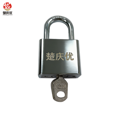 楚庆优 挂锁不锈钢锁通用锁 30短梁(带一把钥匙) 把