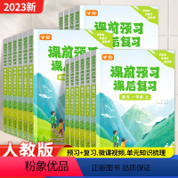 语文 一年级上 [正版]2023秋季新版甘橙课前预习课后复习人教版一二三四五六年级上册语文数学英语小学习复习同步课文精讲