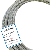 长铁 镀锌钢丝绳 4mm 米
