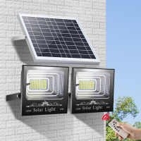 苏宁放心购 防水太阳能灯庭院灯户外太阳能路灯家用投光灯太阳灯室外柱头灯led户外灯一拖二照明射灯新农村专用
